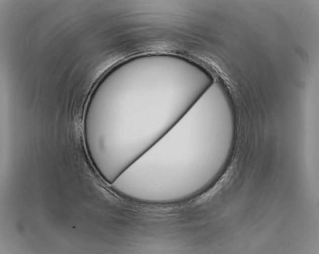 X0000111681073200908071420