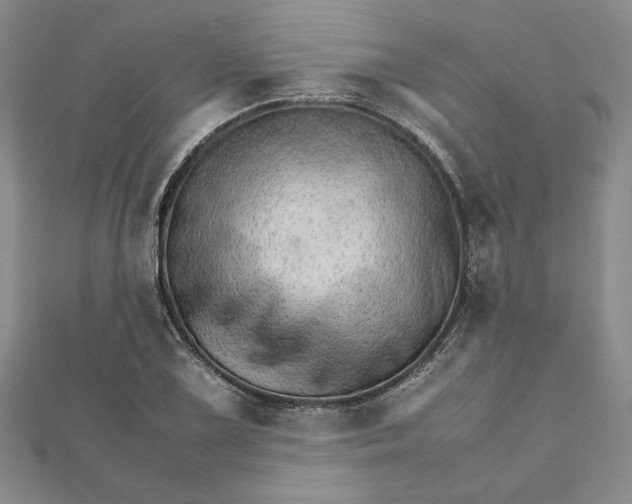 X0000111681075200908071420