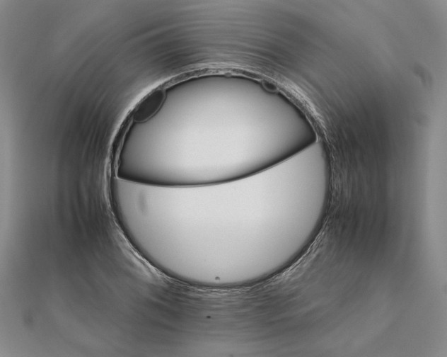 X0000111681076200908071420