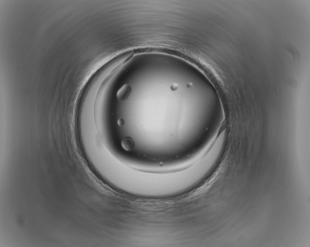 X0000111681077200908071420