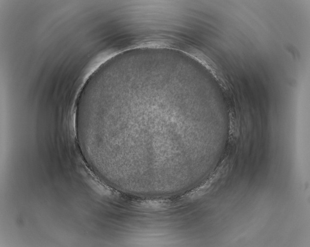 X0000111681078200908071420