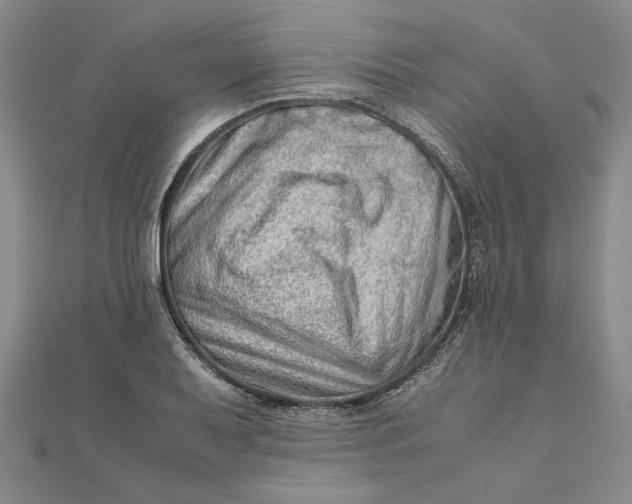 X0000111681079200908071420