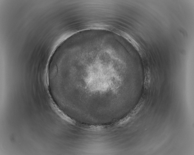 X0000111681080200908071420