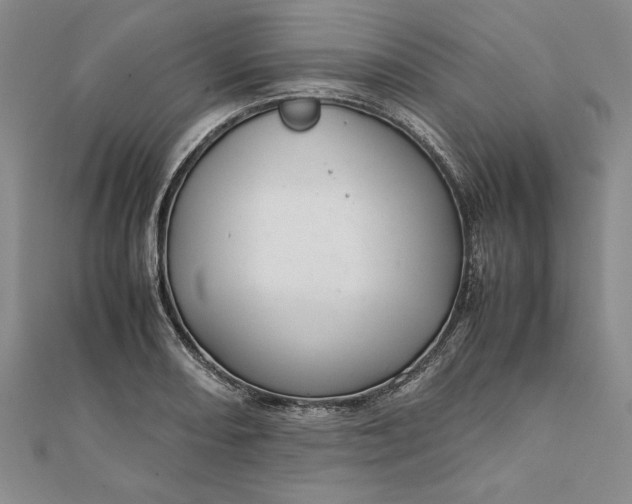 X0000111681082200908071420