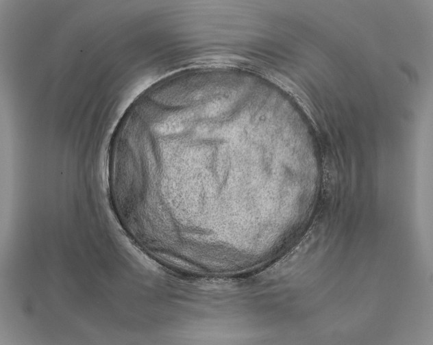 X0000111681083200908071420