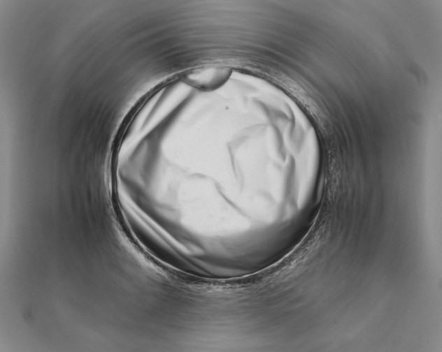 X0000111681084200908071420