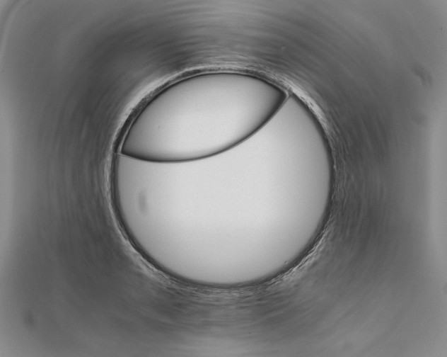 X0000111681085200908071420