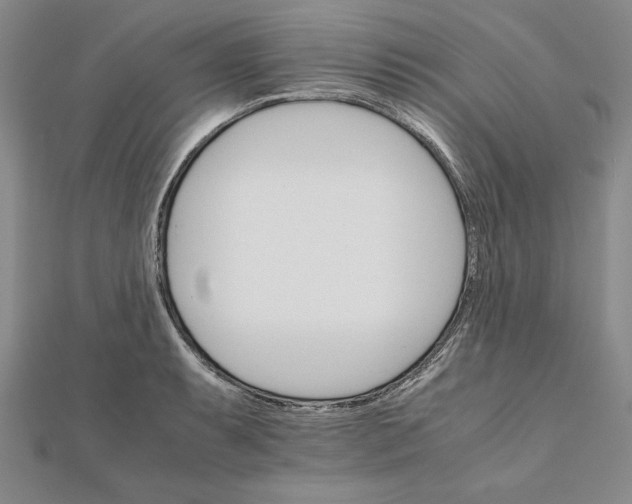 X0000111681087200908071420