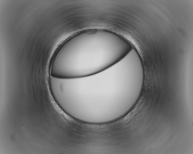 X0000111681088200908071420