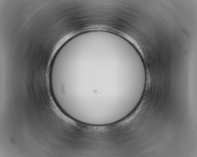 X0000111681090200908071420