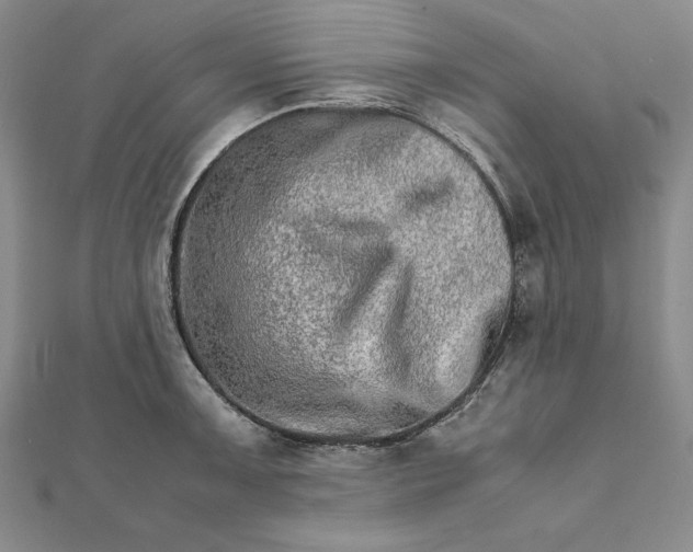 X0000111681091200908071420