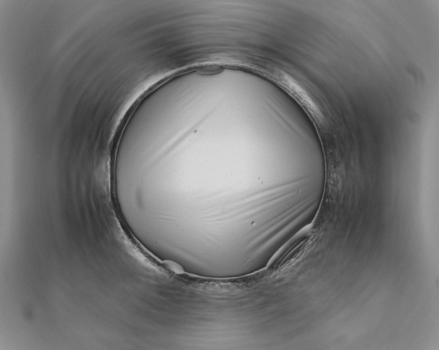 X0000111681092200908071420