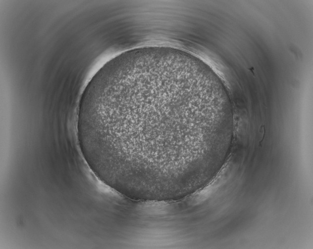 X0000111681094200908071420