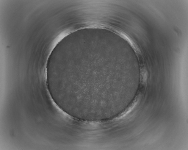 X0000111681095200908071420