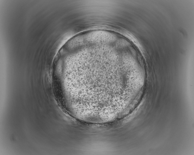 X0000111681097200908071420