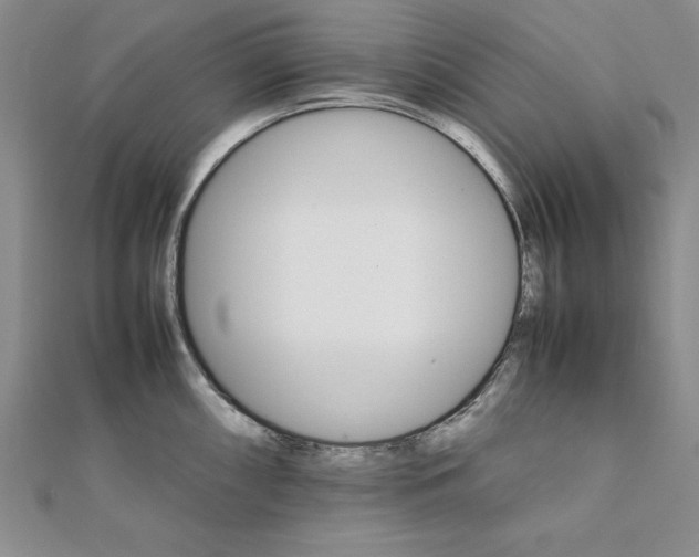 X0000111681098200908071420