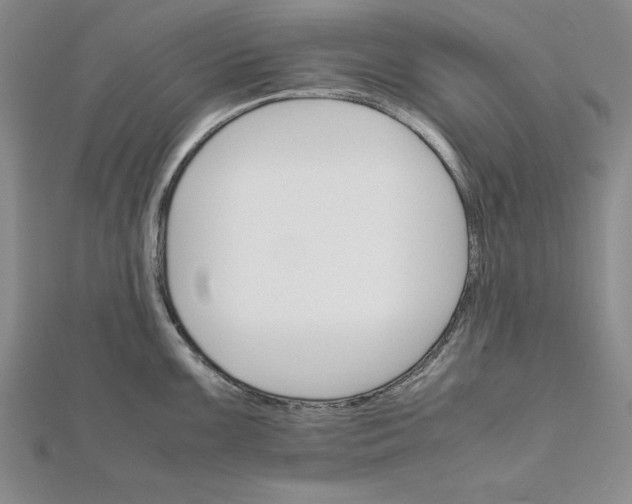 X0000111681099200908071420