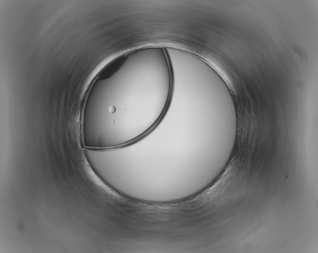 X0000111681100200908071420