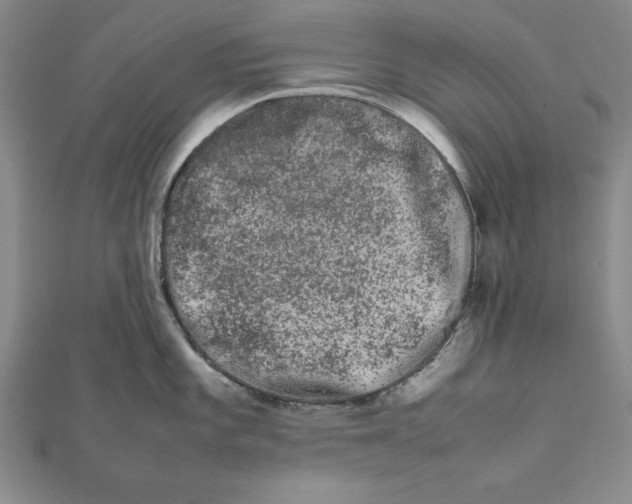 X0000111681101200908071420