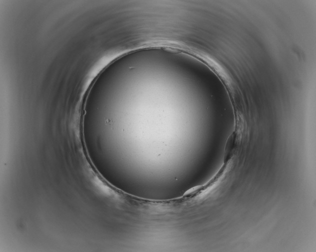 X0000111681102200908071420