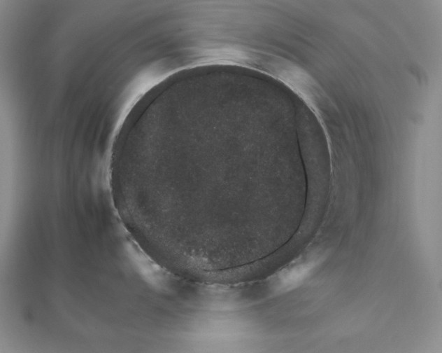 X0000111681104200908071420