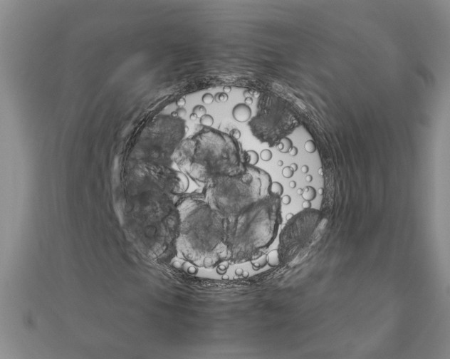 X0000111681105200908071419