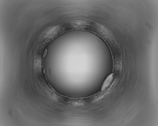 X0000111681108200908071419