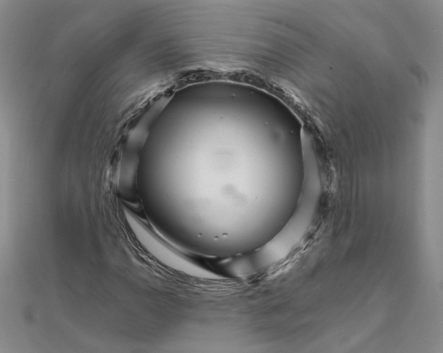 X0000111681110200908071419