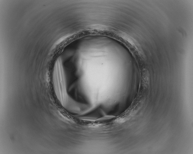 X0000111681112200908071419