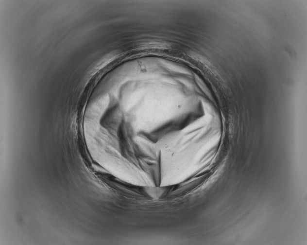 X0000111681113200908071419