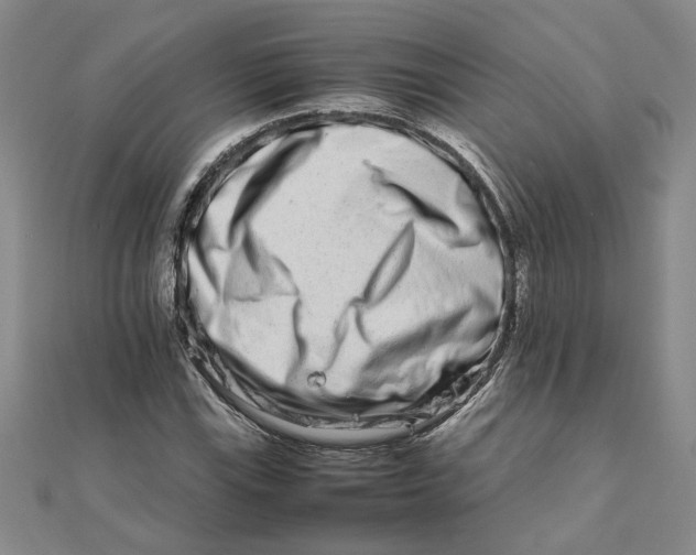 X0000111681115200908071419