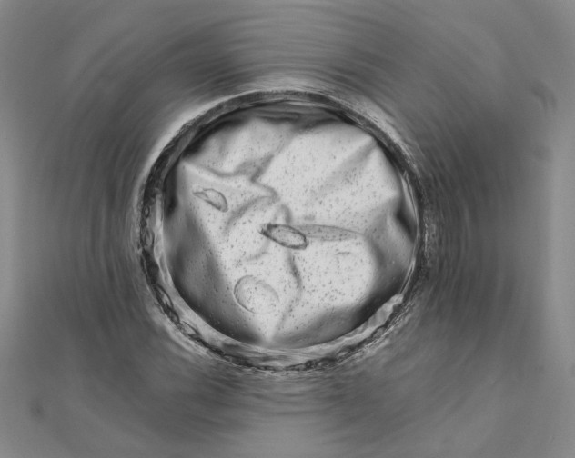 X0000111681116200908071419