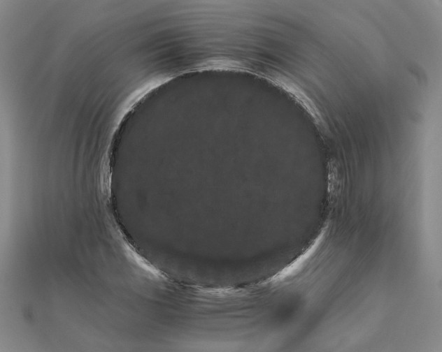 X0000111681117200908071419