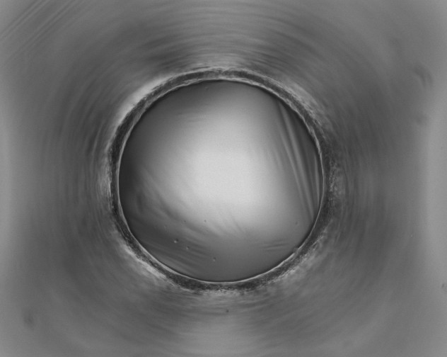 X0000111681118200908071419