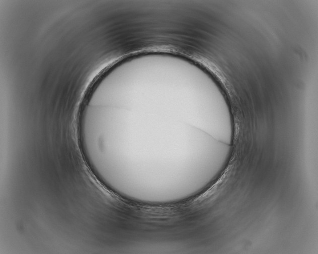 X0000111681119200908071419