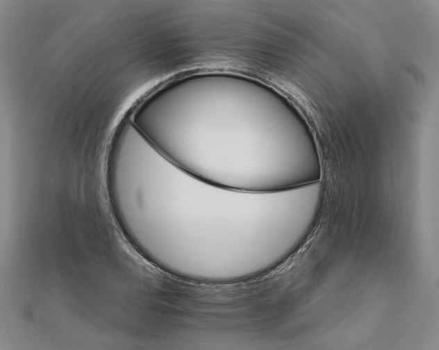 X0000111681120200908071419