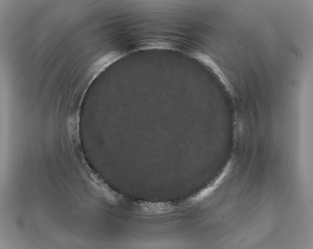 X0000111681121200908071419