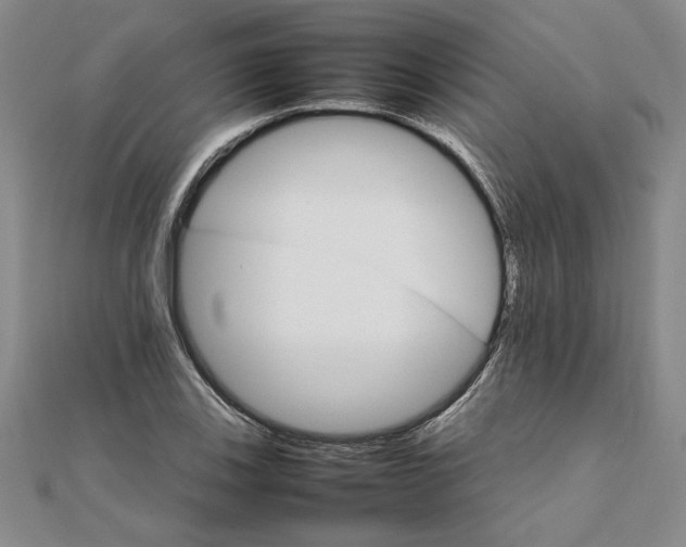 X0000111681123200908071419