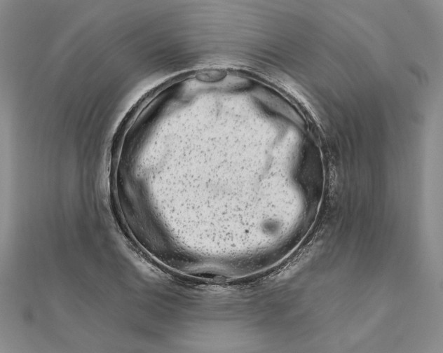 X0000111681124200908071419