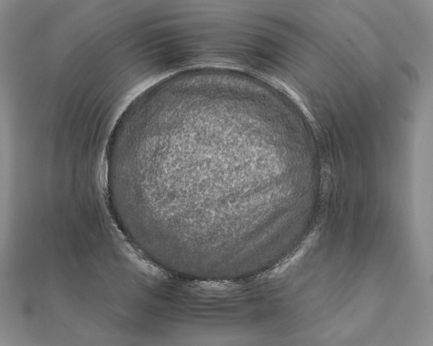 X0000111681125200908071419