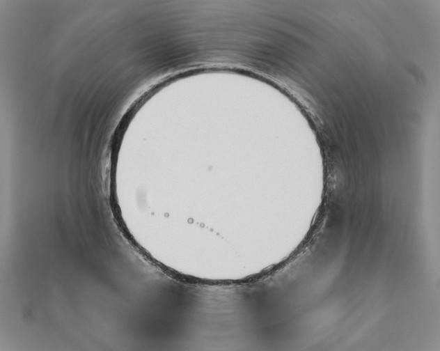 X0000111681126200908071419