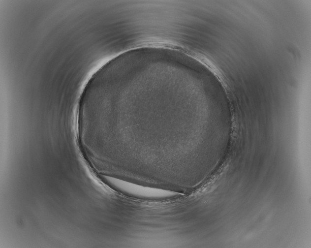 X0000111681128200908071419