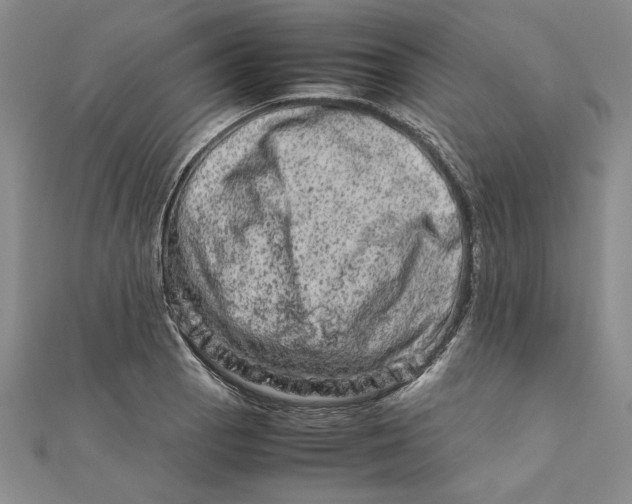 X0000111681129200908071419