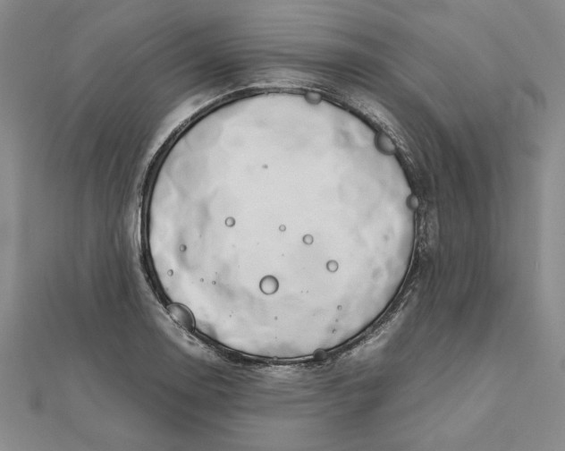 X0000111681130200908071419