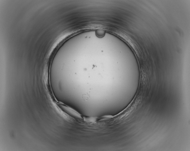 X0000111681131200908071419