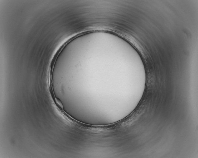 X0000111681132200908071419