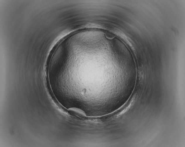 X0000111681133200908071419