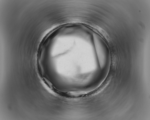 X0000111681134200908071419