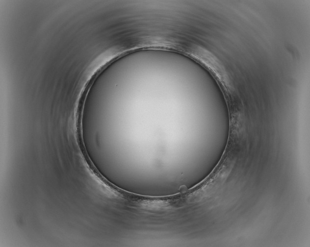 X0000111681135200908071419