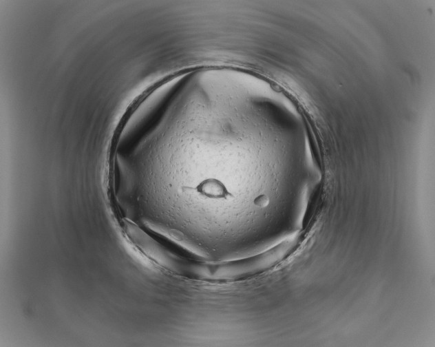 X0000111681136200908071420